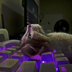 Meet your Posher, Esperanza